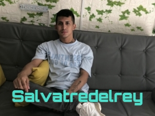 Salvatredelrey