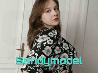 Sandymodel