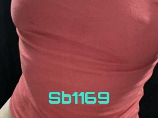 Sb1169