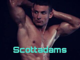 Scottadams