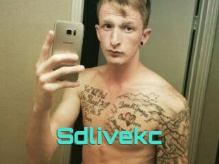 Sdlivekc