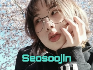 Seosoojin