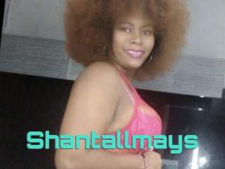 Shantallmays