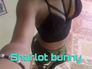 Sharlot_bunny