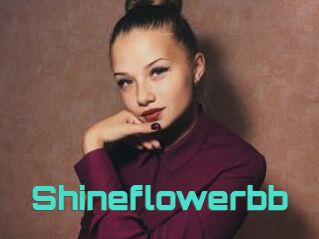 Shineflowerbb