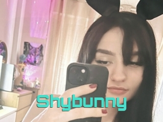 Shybunny