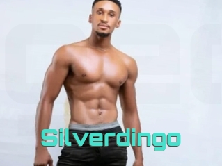 Silverdingo