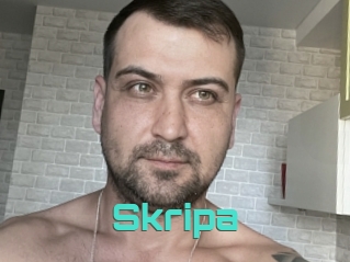 Skripa
