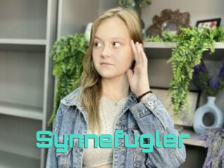 Synnefugler