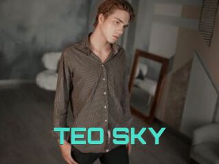 TEO_SKY