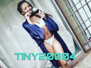 TINY20004