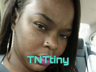 T_N_Ttiny