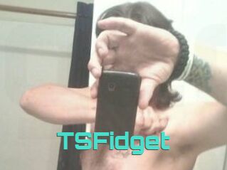 TSFidget