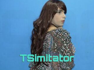 TSimitator
