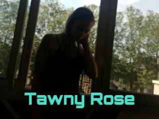 Tawny_Rose