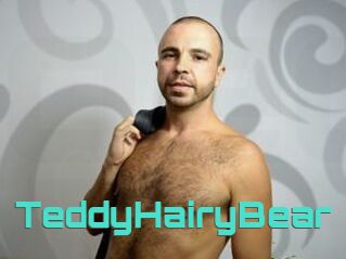 TeddyHairyBear