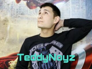 TeddyNoyz