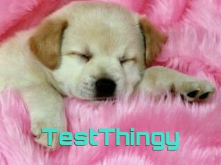 TestThingy