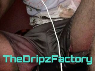 TheDripzFactory