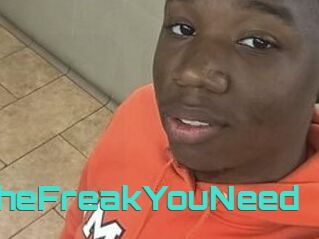 TheFreakYouNeed