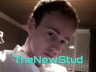 TheNewStud