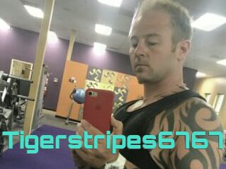 Tigerstripes6767