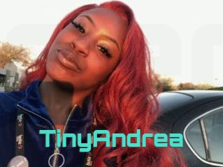 TinyAndrea