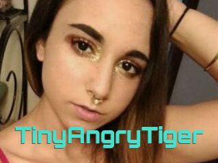 TinyAngryTiger