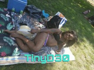TinyD30