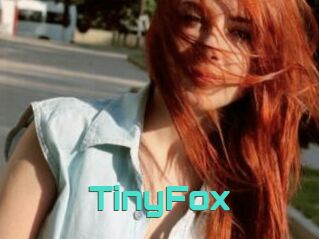 TinyFox