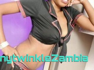 TinytwinkleZambia
