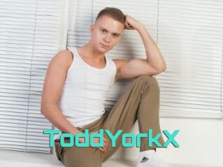 ToddYorkX