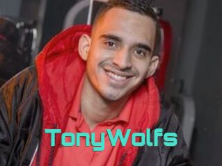 TonyWolfs
