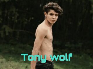 Tony_wolf