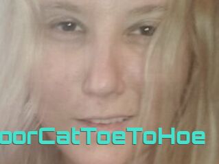 TravellingIndoorCatToeToHoe