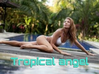 Tropical_angel