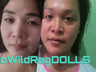 TwoWildRagDOLLS