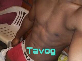 Tavog