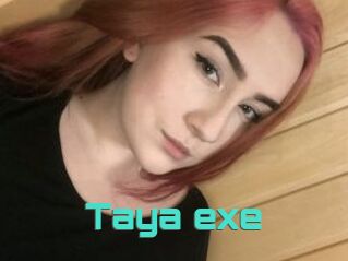 Taya_exe