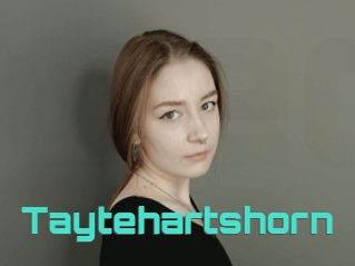 Taytehartshorn