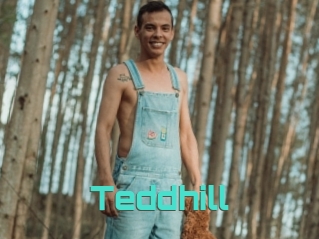 Teddhill