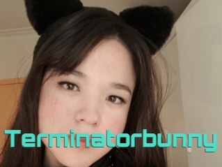 Terminatorbunny