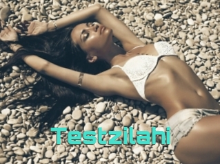 Testzilahi
