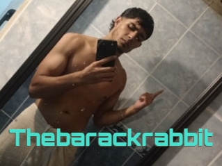 Thebarackrabbit
