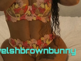 Thewelshbrownbunny