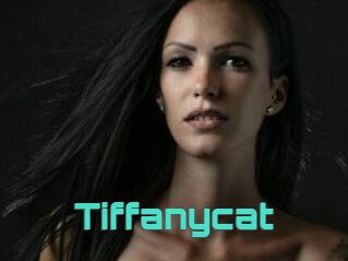 Tiffanycat