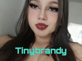 Tinybrandy