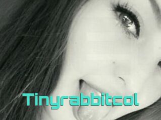 Tinyrabbitcol
