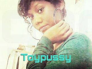Toypussy