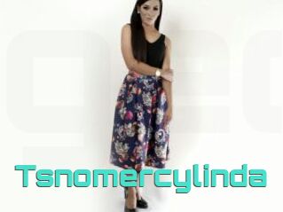 Tsnomercylinda